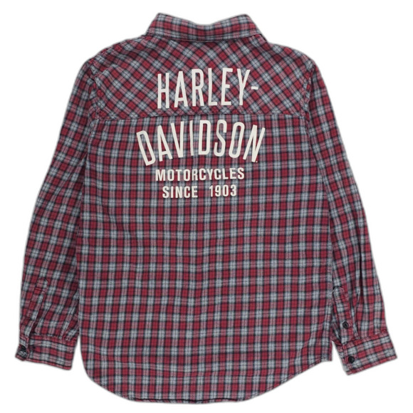 Harley-Davidson Other - HARLEY DAVIDSON 120th Anniversary Flannel Shirt Jacket Plaid Mot Biker 90s Y2k